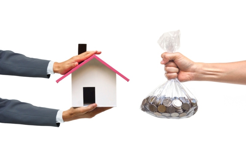 This image for Image Layouts addon